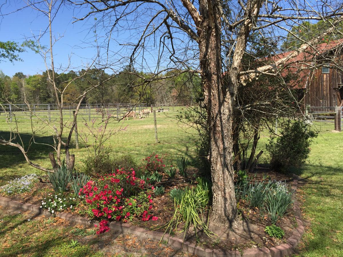 לינה וארוחת בוקר Dublin Farm מראה חיצוני תמונה