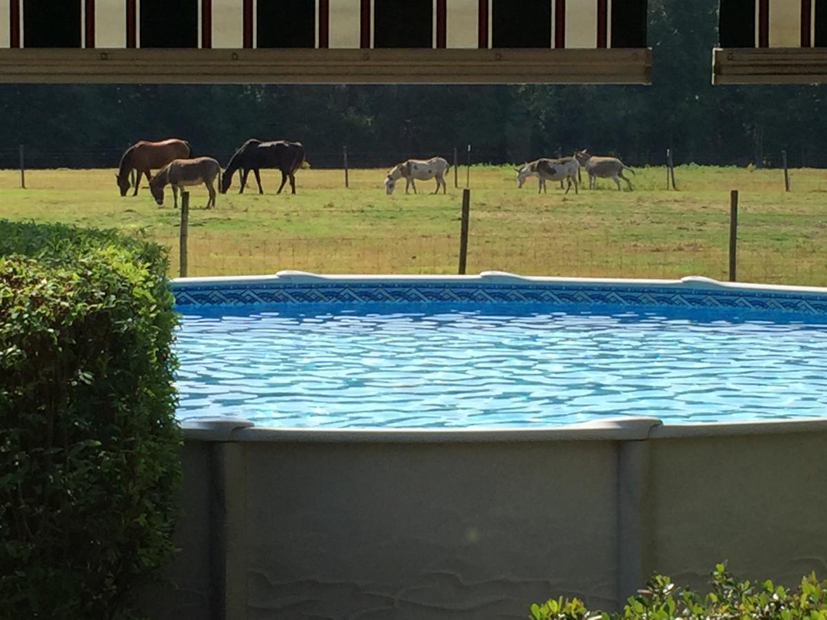 לינה וארוחת בוקר Dublin Farm מראה חיצוני תמונה